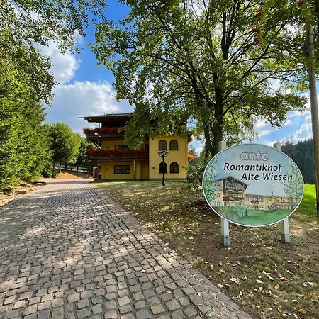 Ante Romantikhof 3* Bromskirchen