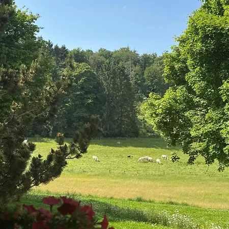 Hotel Ante Romantikhof Bromskirchen